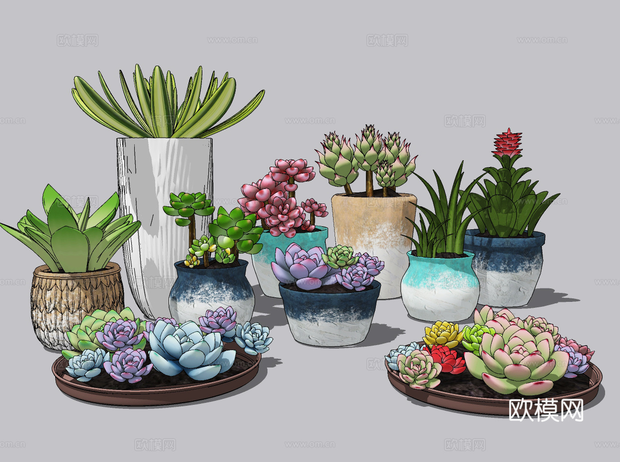 现代多肉植物盆栽su模型下载