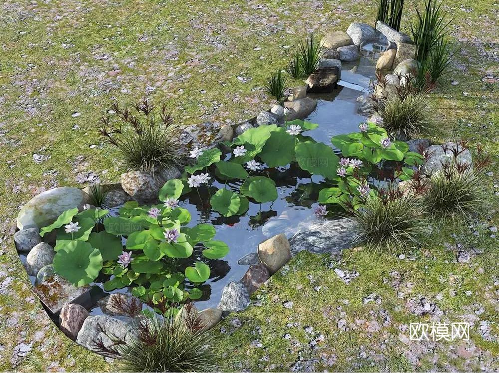 现代生态鱼池  水池 荷花池 观赏鱼塘su模型