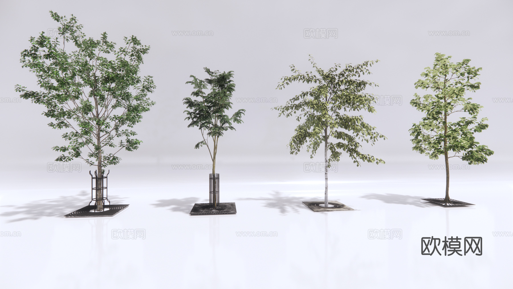 现代行道树景观树su模型下载