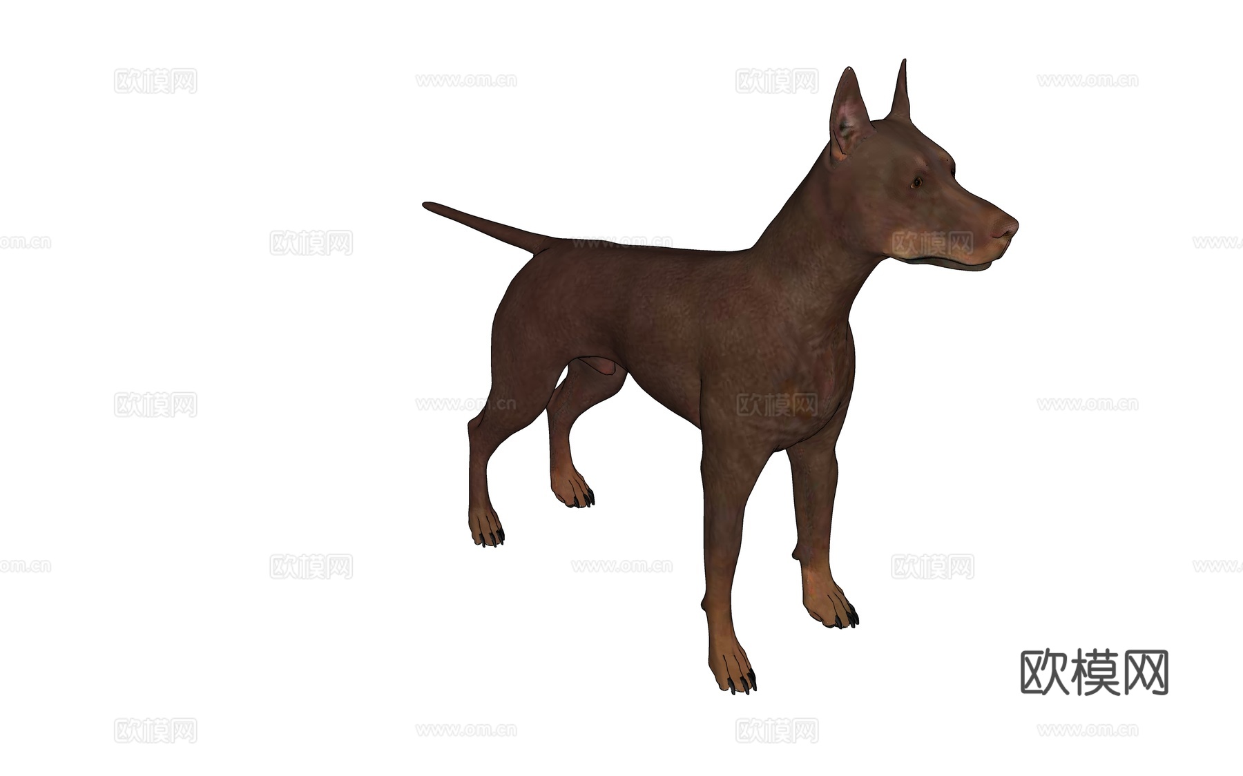 现代杜宾犬猎狗su模型下载