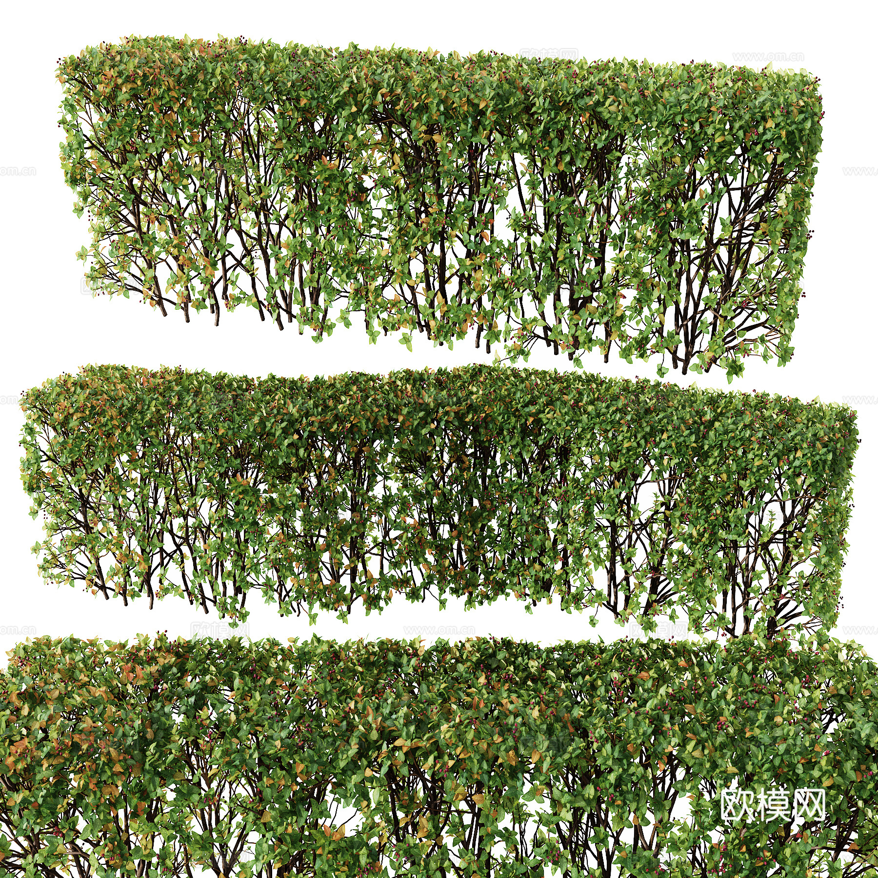 现代绿植灌木丛su模型下载