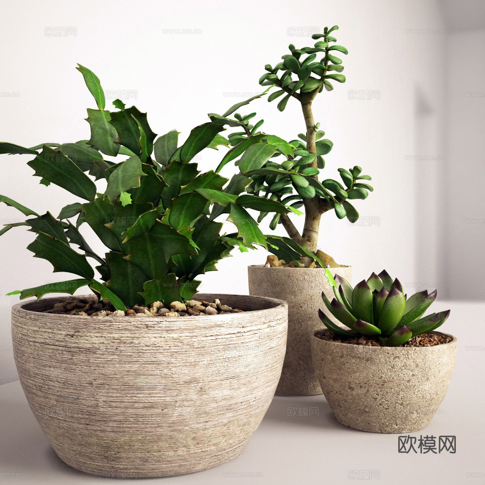 现代绿植盆栽su模型下载