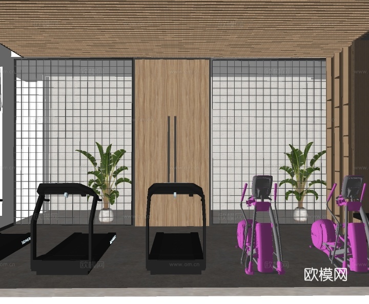 现代家庭健身房su模型下载