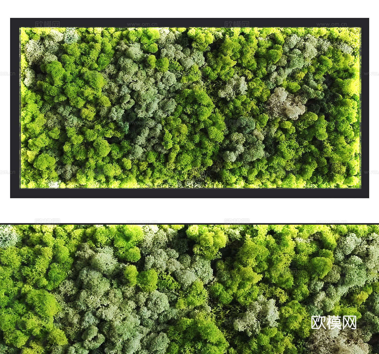 现代苔藓植物墙su模型下载
