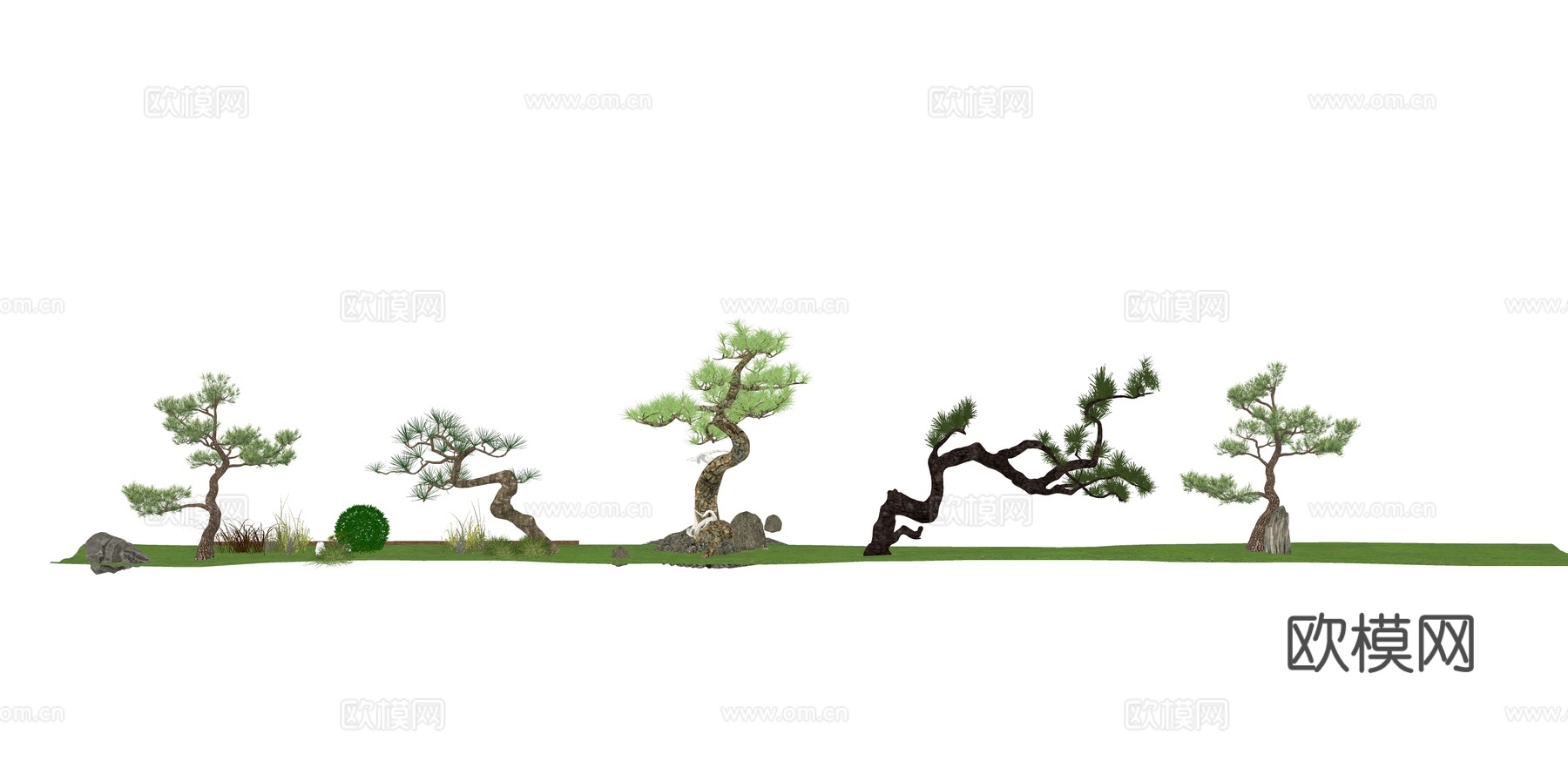现代松树景观树su模型下载