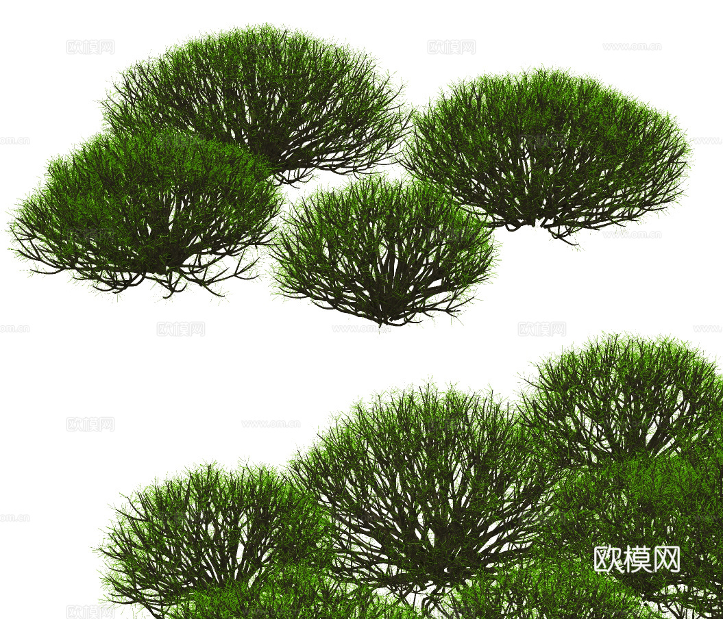 现代绿植灌木su模型下载