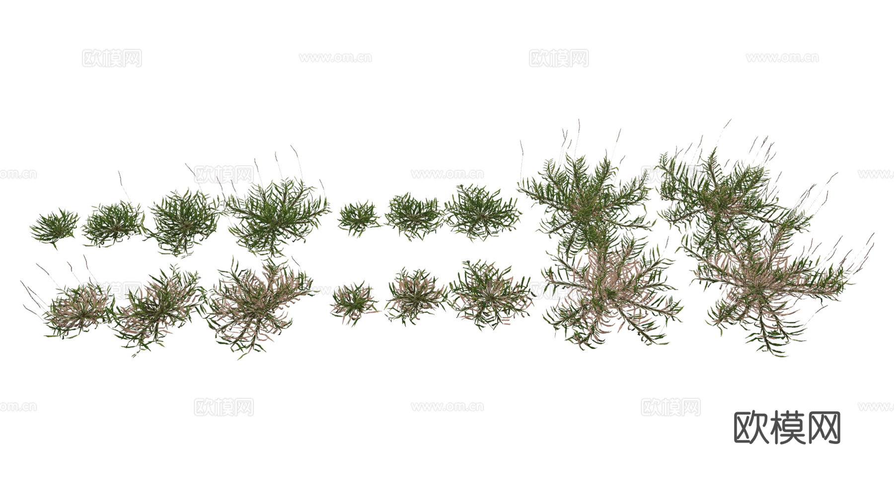 现代花草su模型模型下载下载