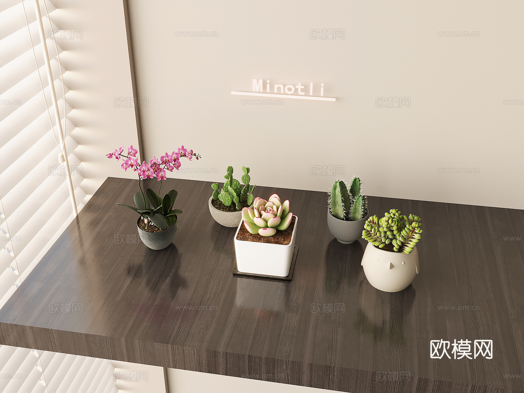 多肉植物 绿植 盆栽盆景3d模型