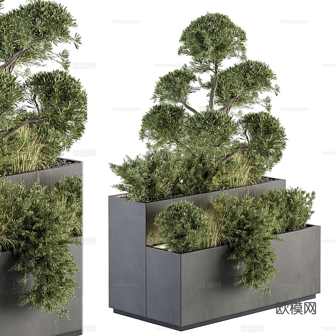 现代花箱绿植盆栽su模型下载