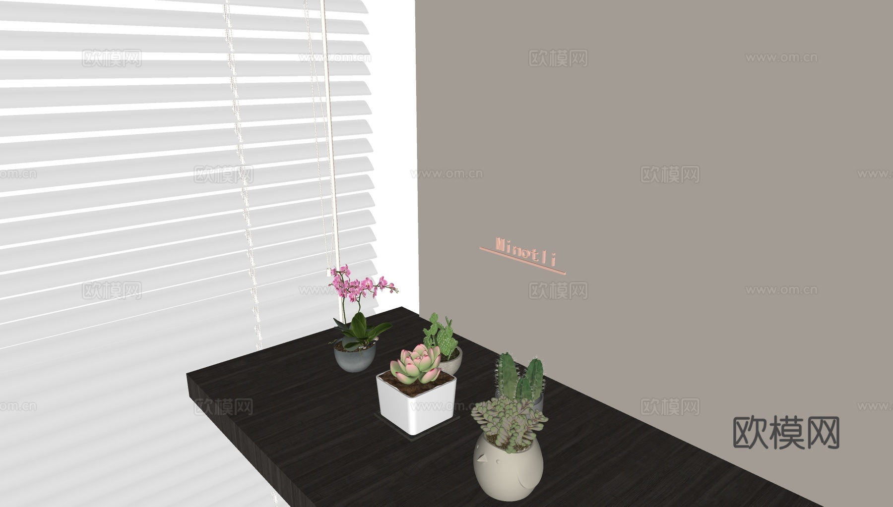 多肉植物 绿植 盆栽盆景su模型