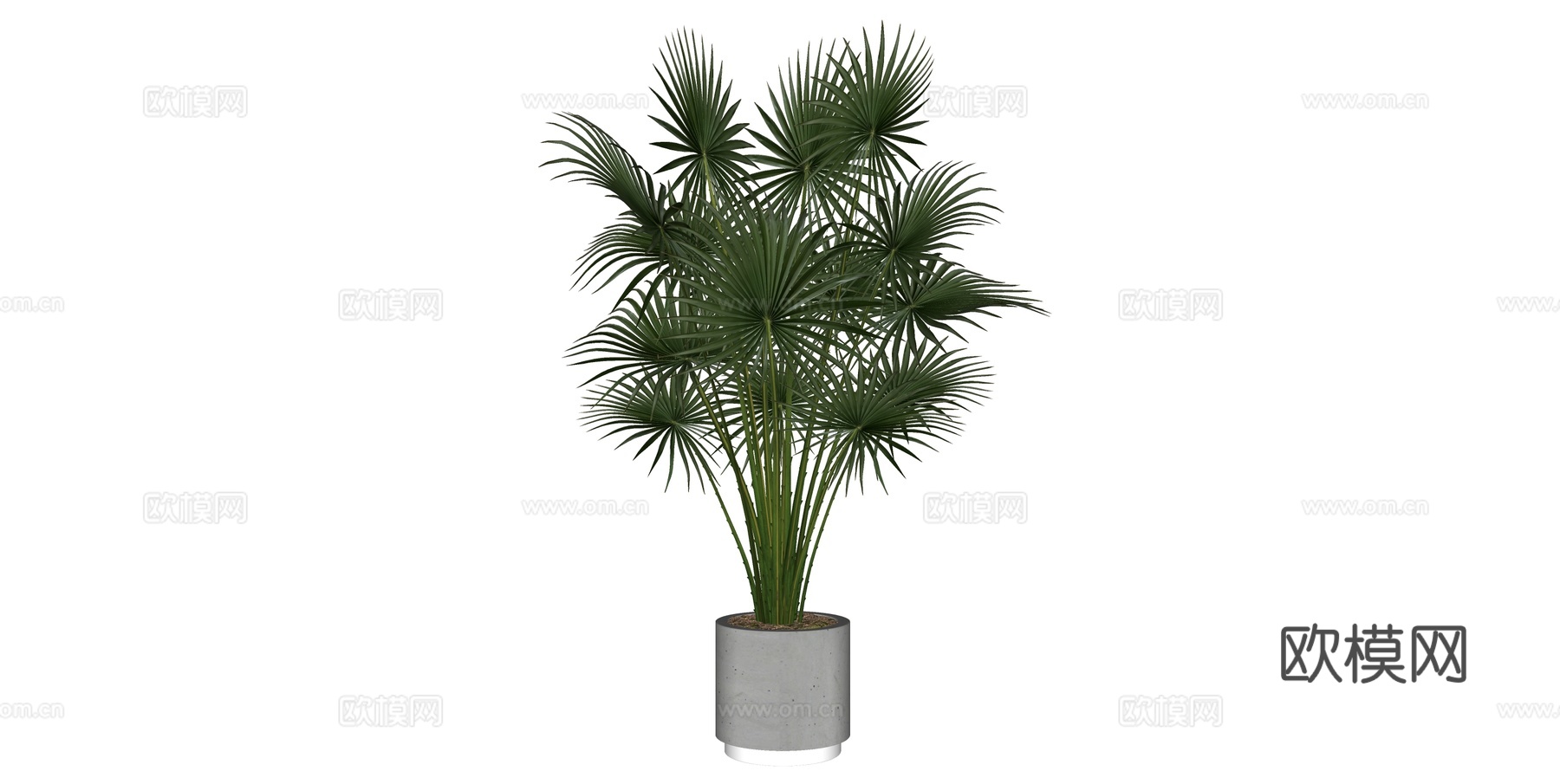 植物 盆栽 盆景 花卉su模型下载