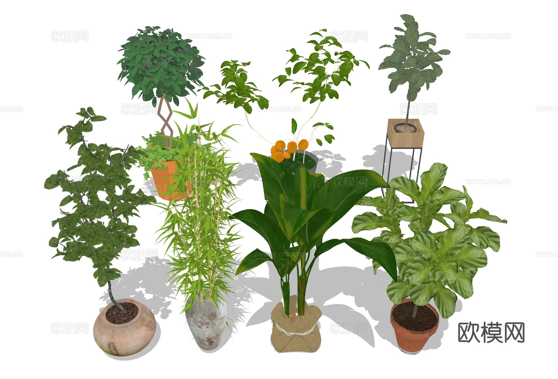 绿植盆栽 大型景观盆景su模型下载