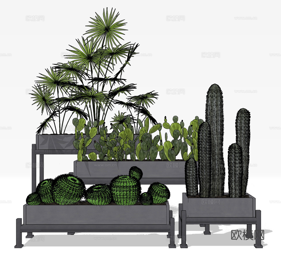 现代绿植仙人掌盆栽su模型下载