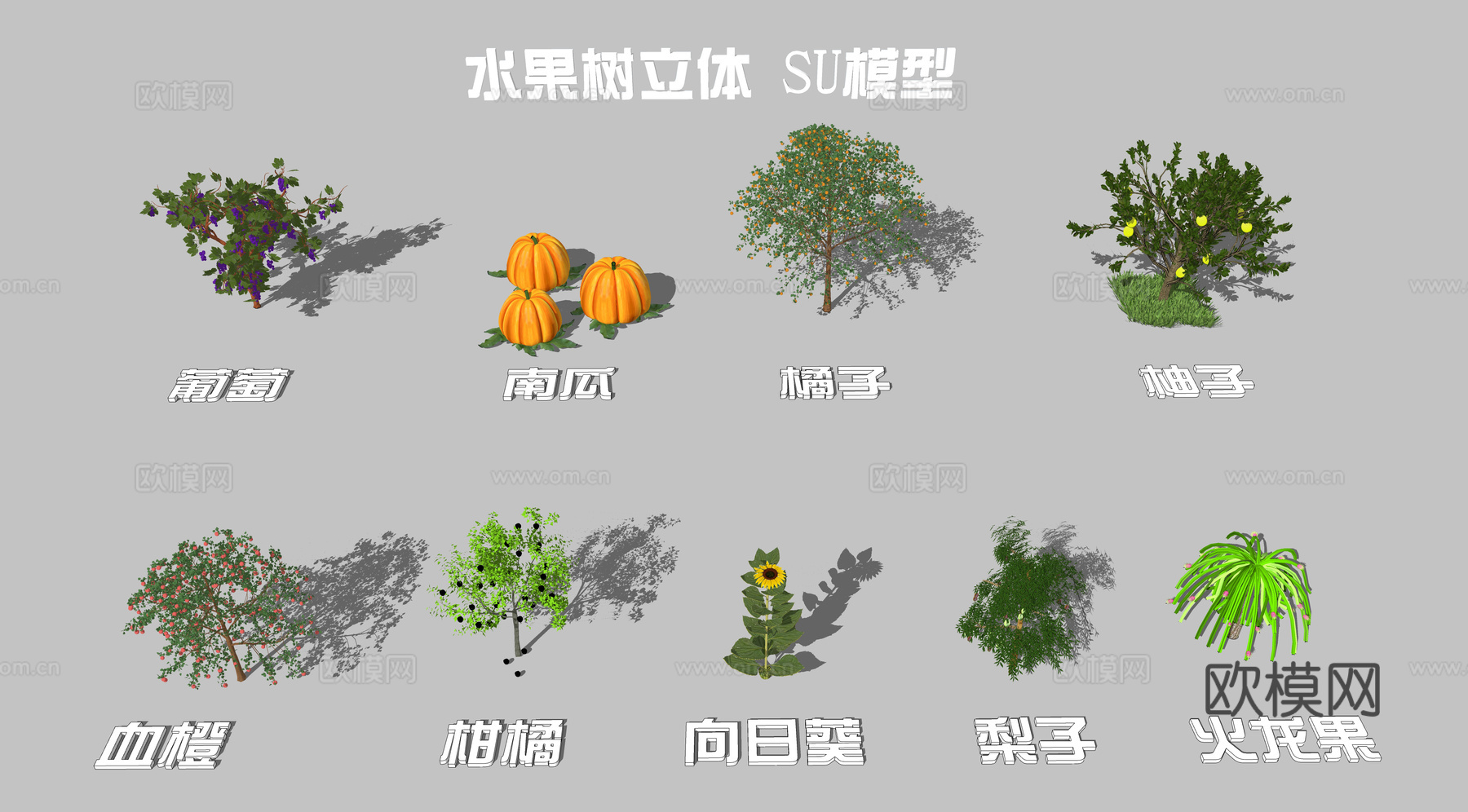 现代葡萄树柑橘树柚子树果树su模型下载