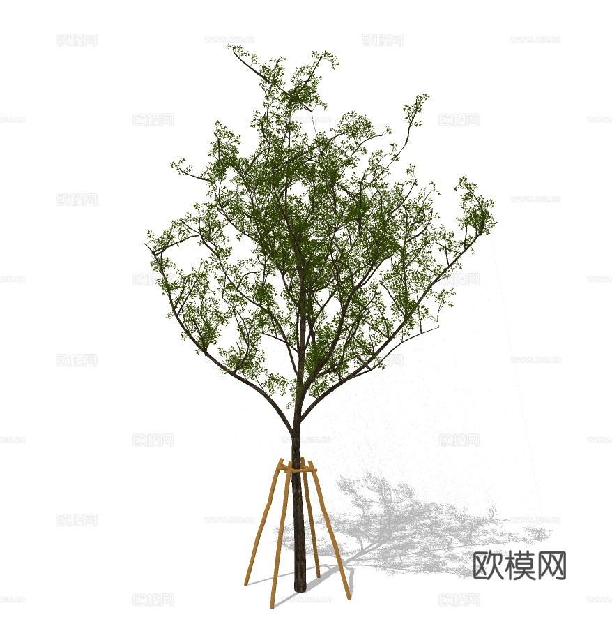 现代行道树景观树su模型下载