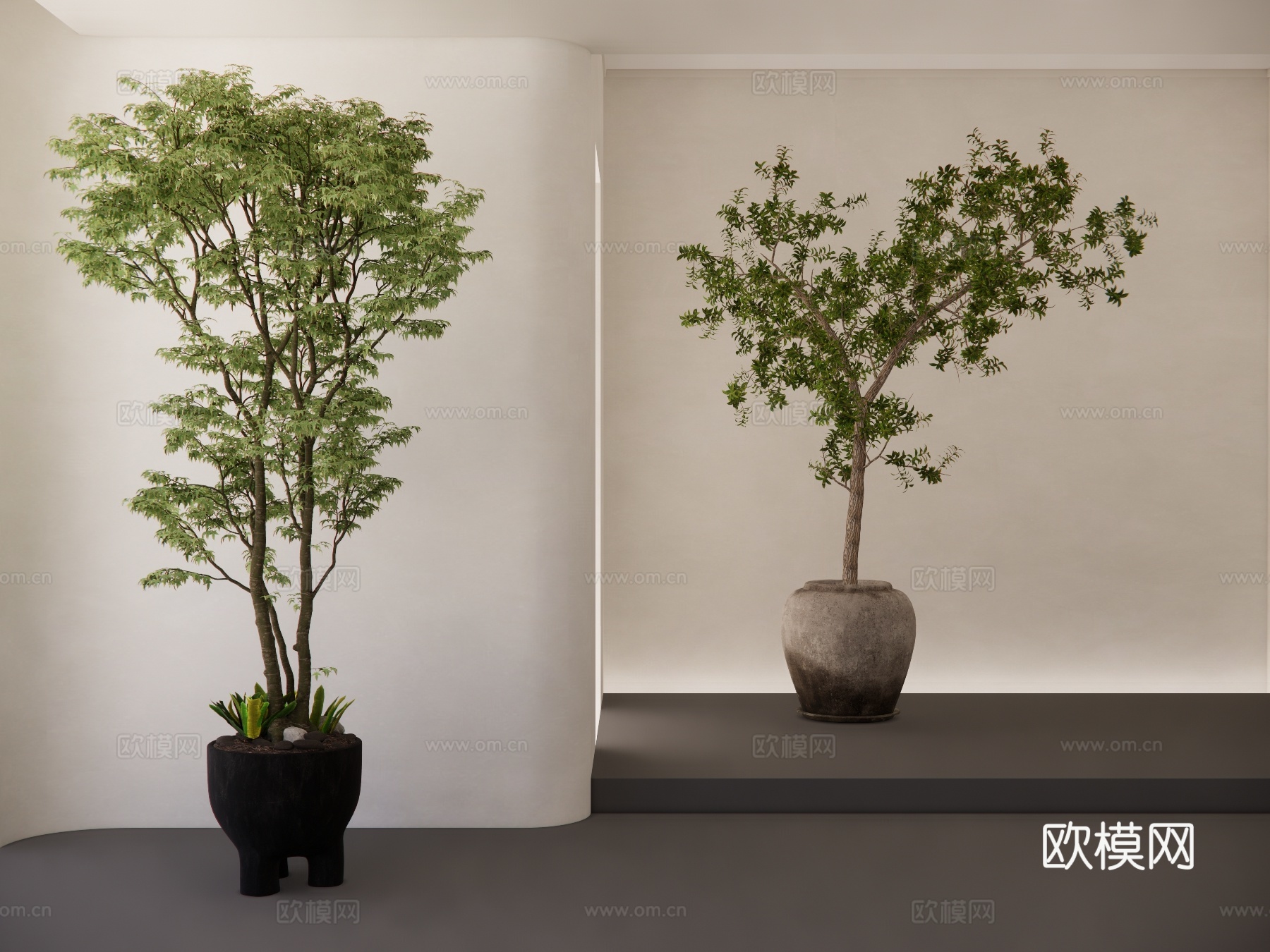 室内盆栽 景观植物 热带植物su模型下载