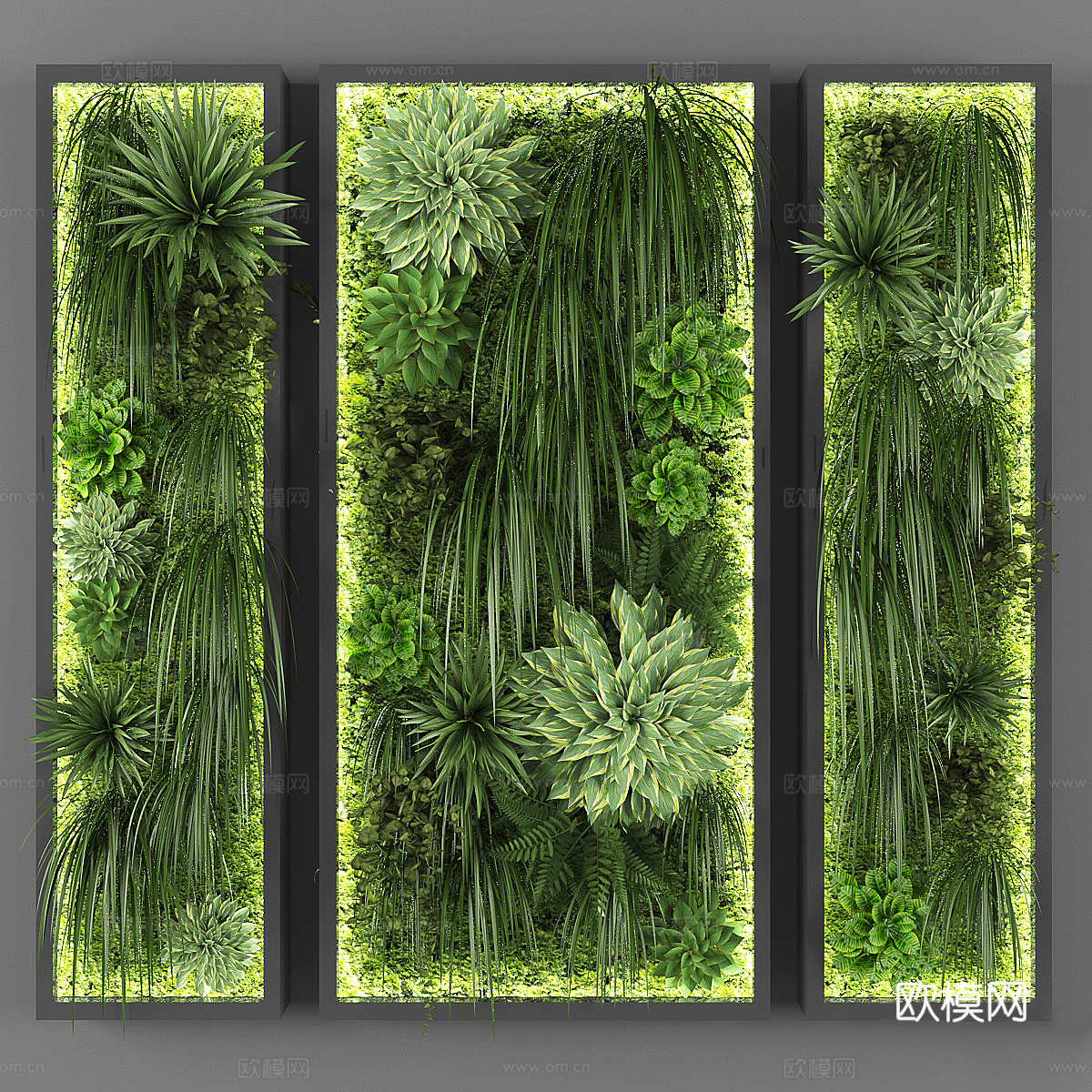 现代绿植 植物墙3d模型
