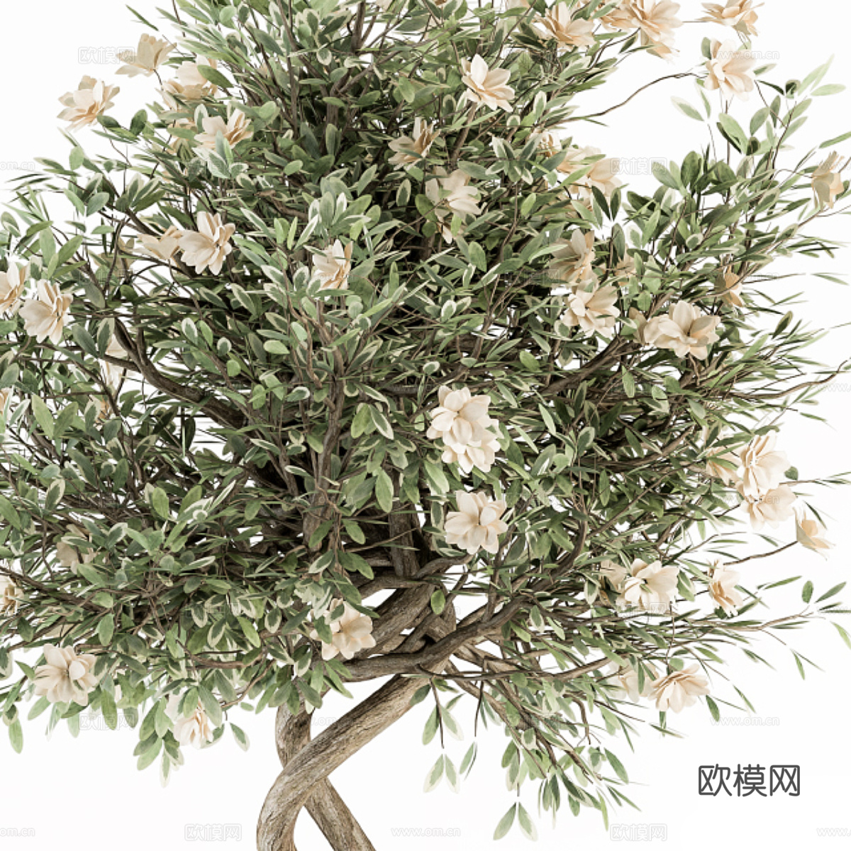 新中式绿植盆栽3d模型