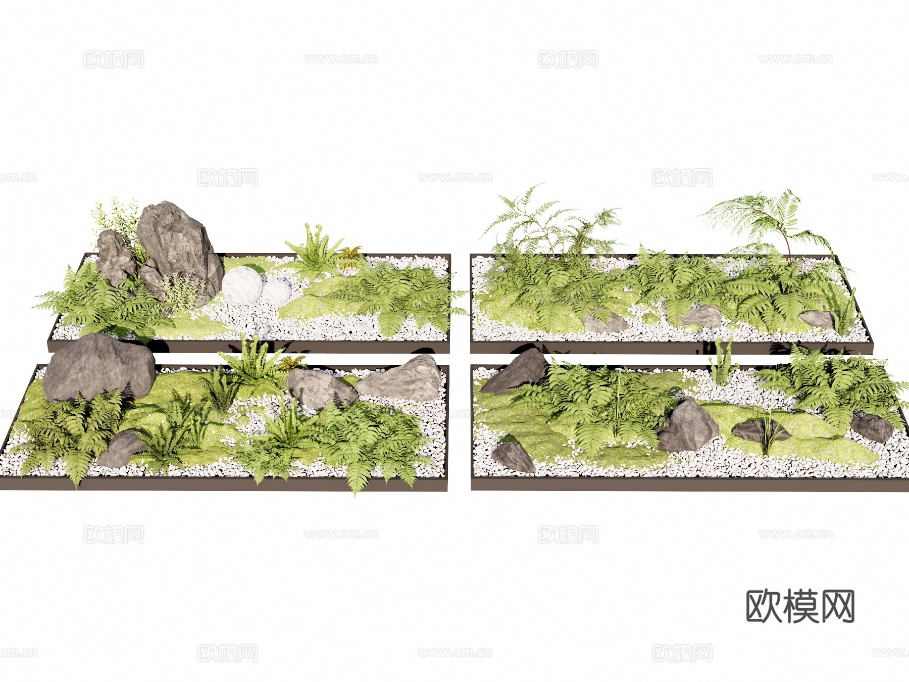 蕨类植物 盆栽摆件 花盆su模型下载