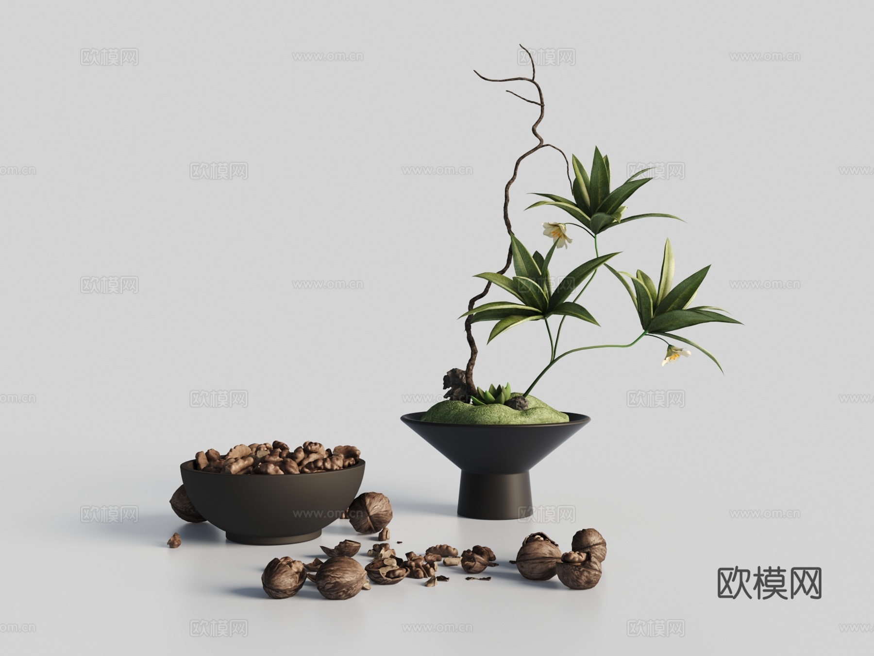 现代摆件 绿植3d模型
