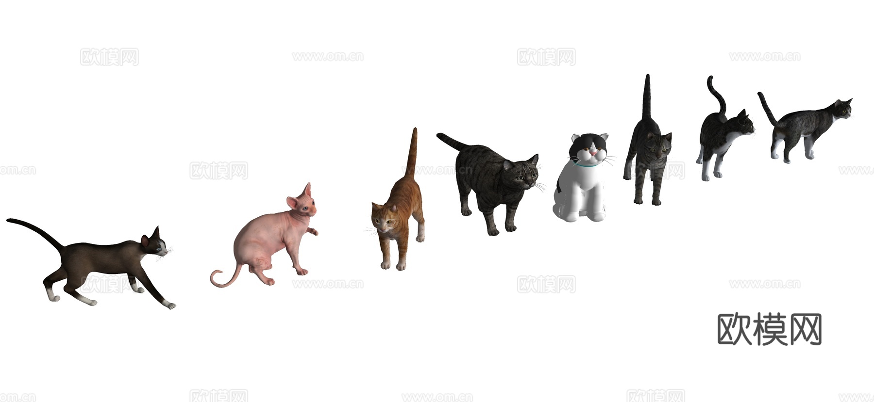现代宠物猫 猫咪 动物su模型下载
