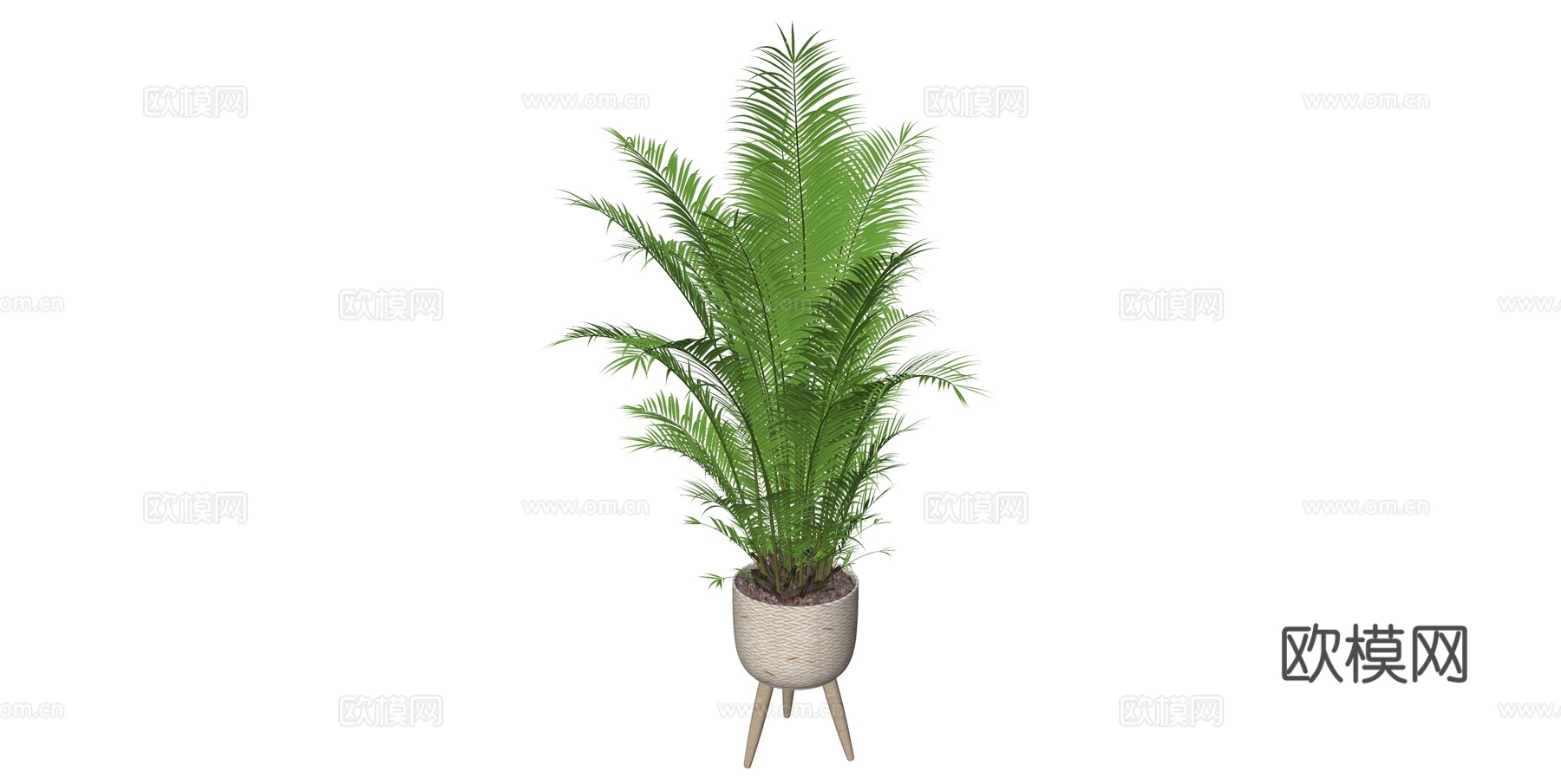 植物 盆栽 盆景 花卉su模型下载
