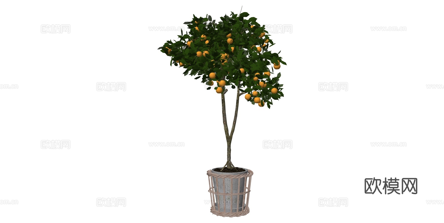 植物 盆栽 盆景 花卉 橘子树su模型下载