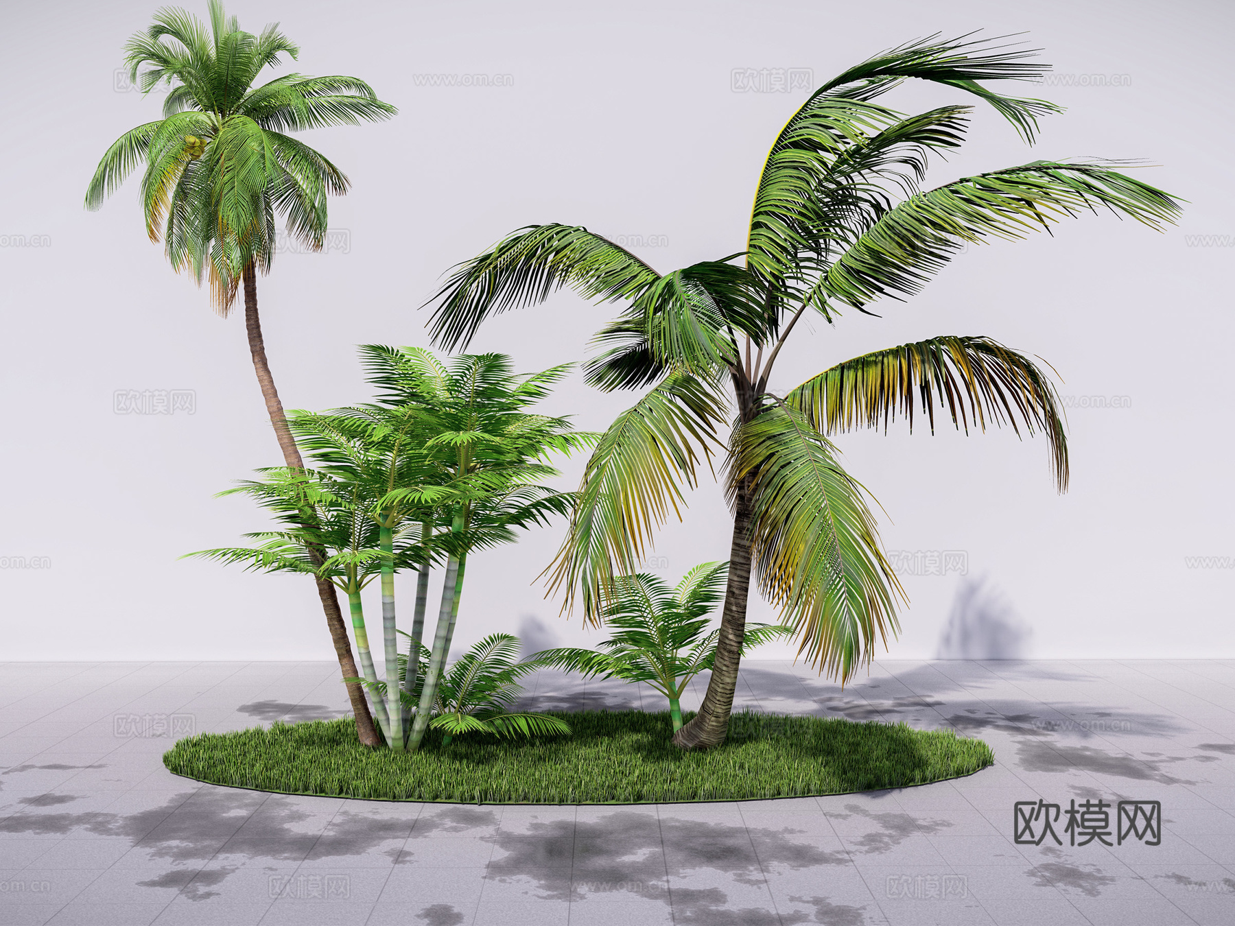 现代景观植物  棕榈树 散尾葵 椰子树su模型下载