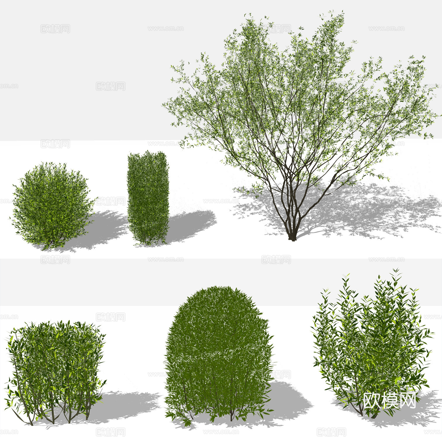 现代绿植灌木su模型下载