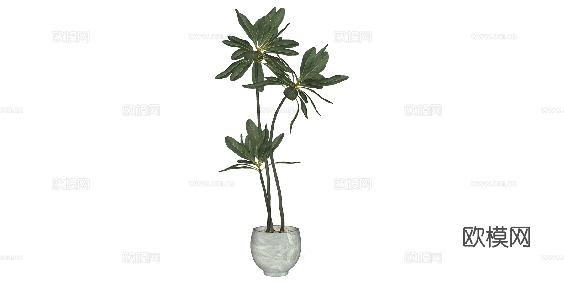 植物 盆栽 盆景 花卉su模型下载