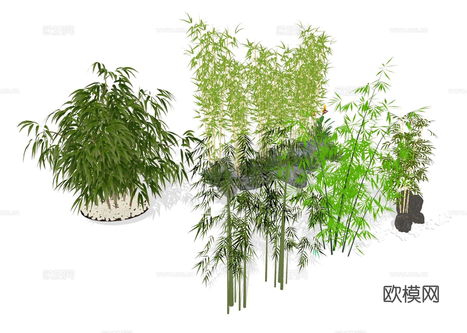竹子竹林 竹竿 竹叶su模型下载