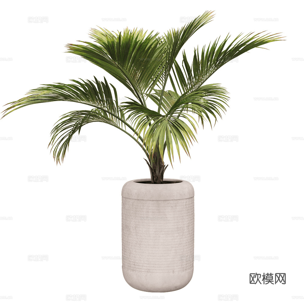 现代侘寂绿植盆栽3d模型