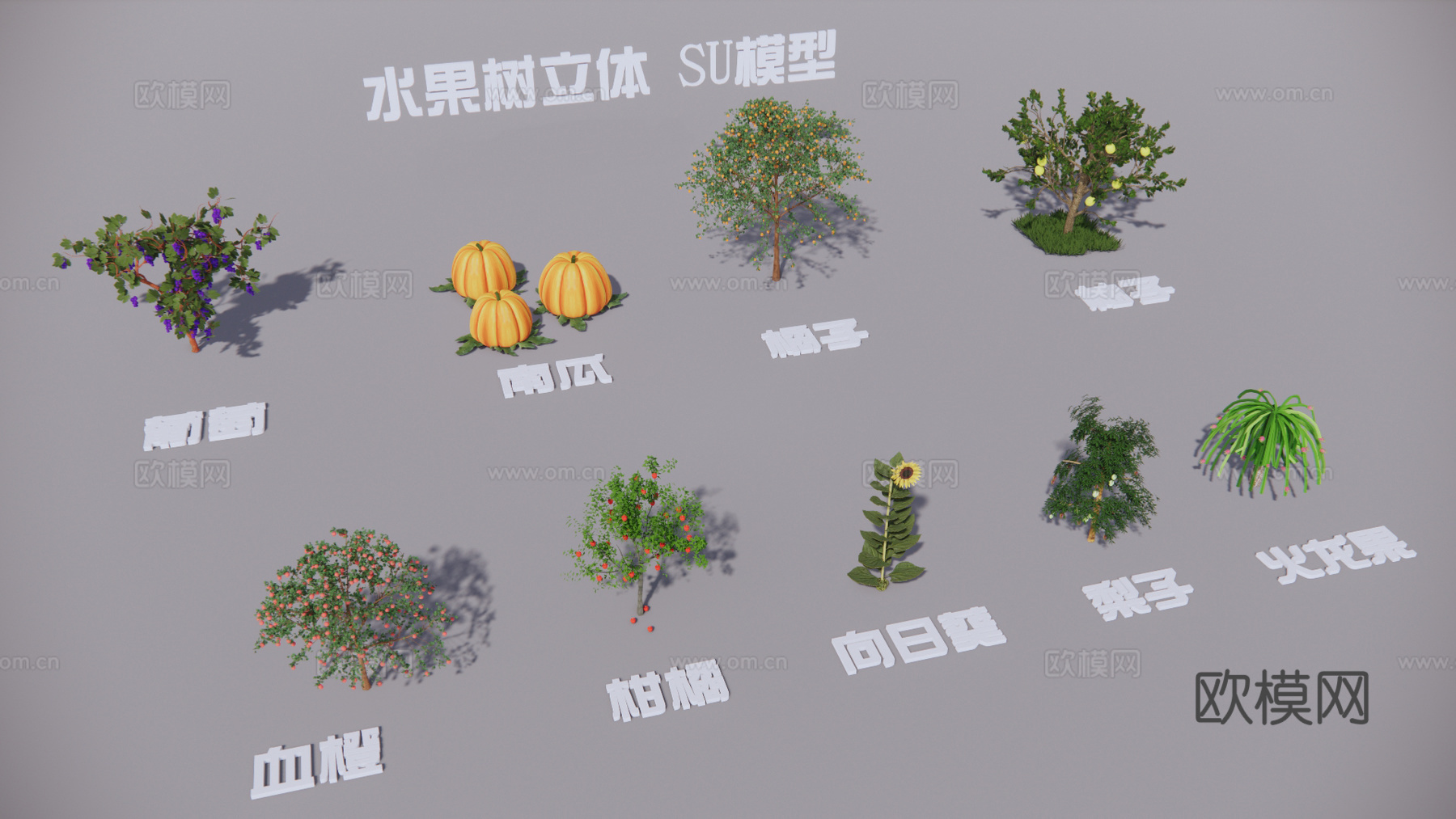 现代葡萄树柑橘树柚子树果树su模型下载