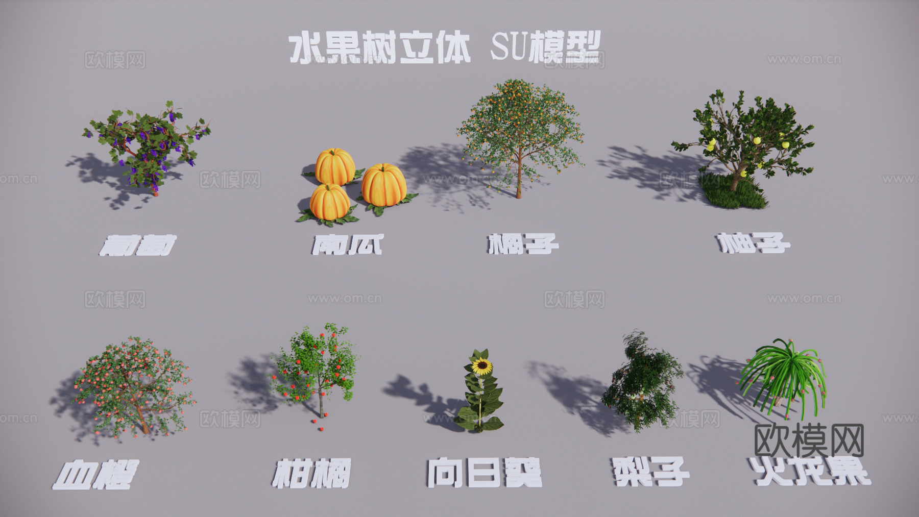 现代葡萄树柑橘树柚子树果树su模型下载