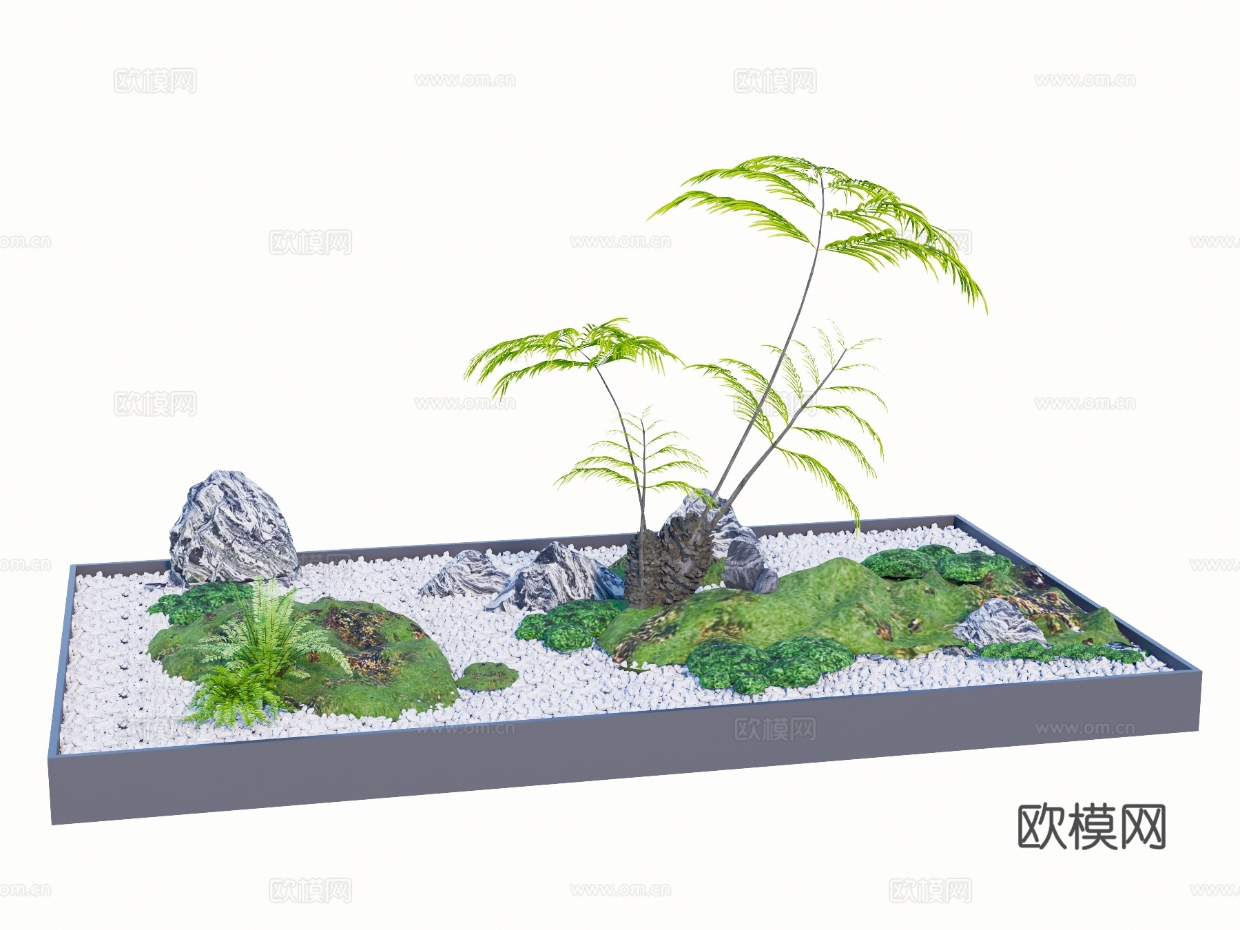 蕨类植物 盆栽地被su模型下载