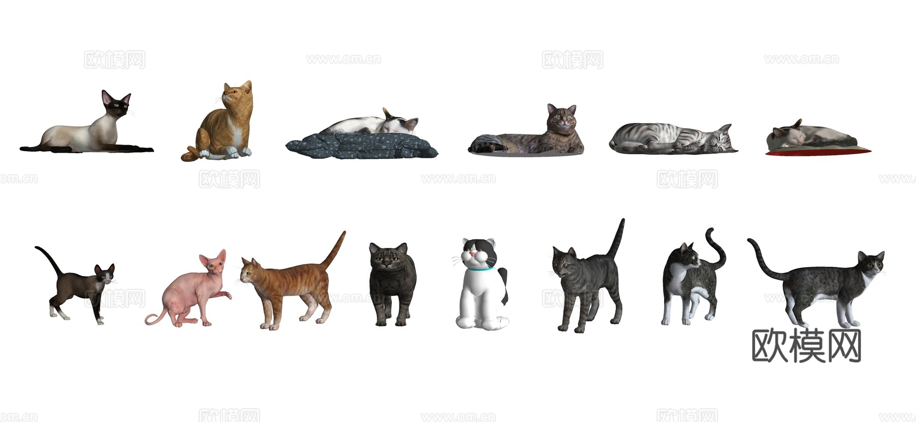 现代宠物猫 猫咪 动物su模型下载