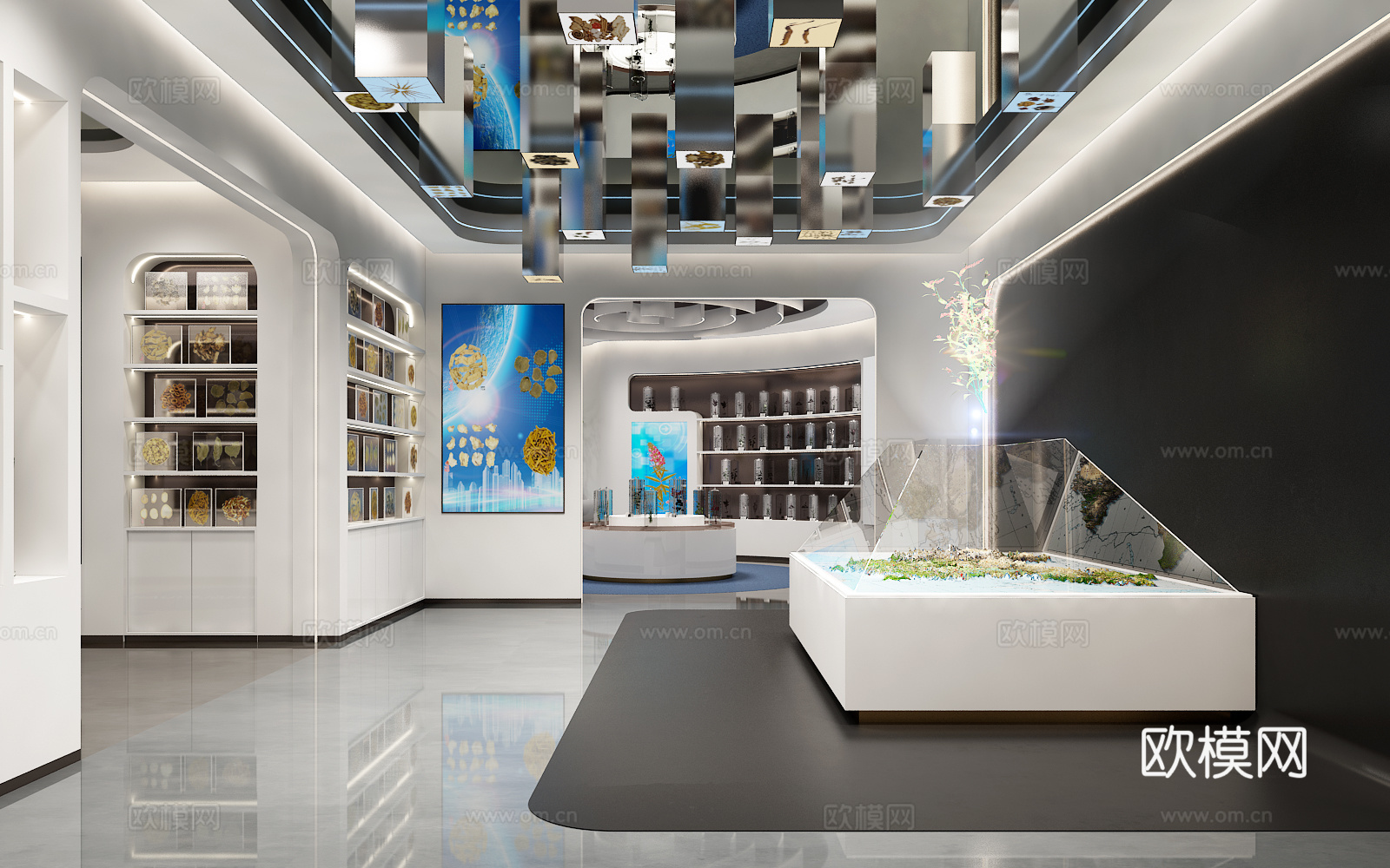展厅 植物展厅 标本展厅 植物标本展厅 植物3d模型