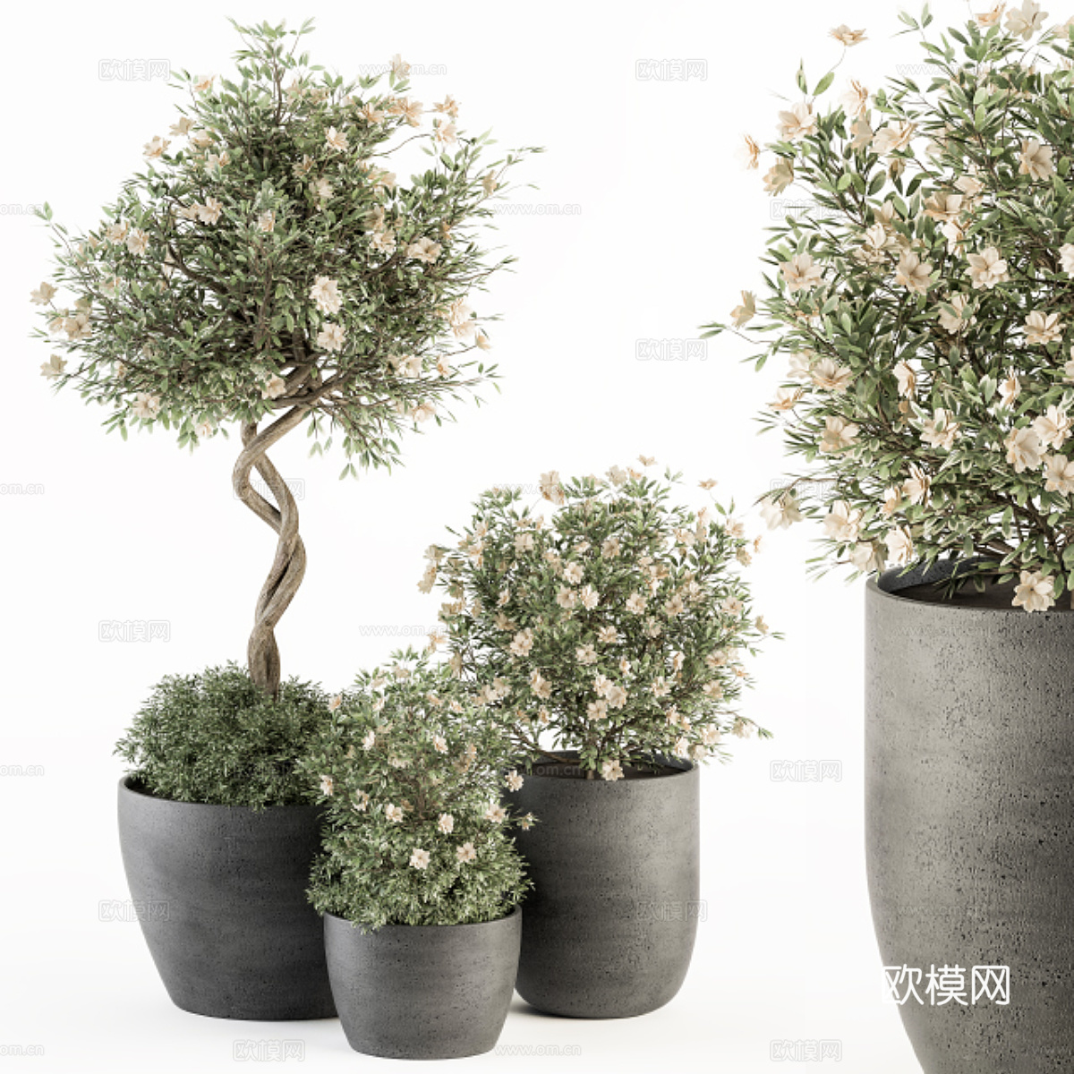 新中式绿植盆栽3d模型