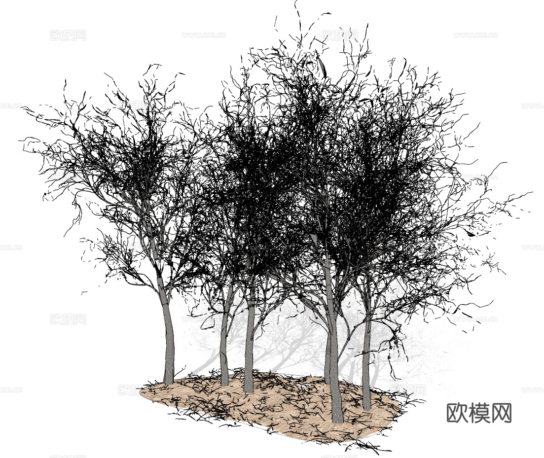 现代枯树景观树su模型下载