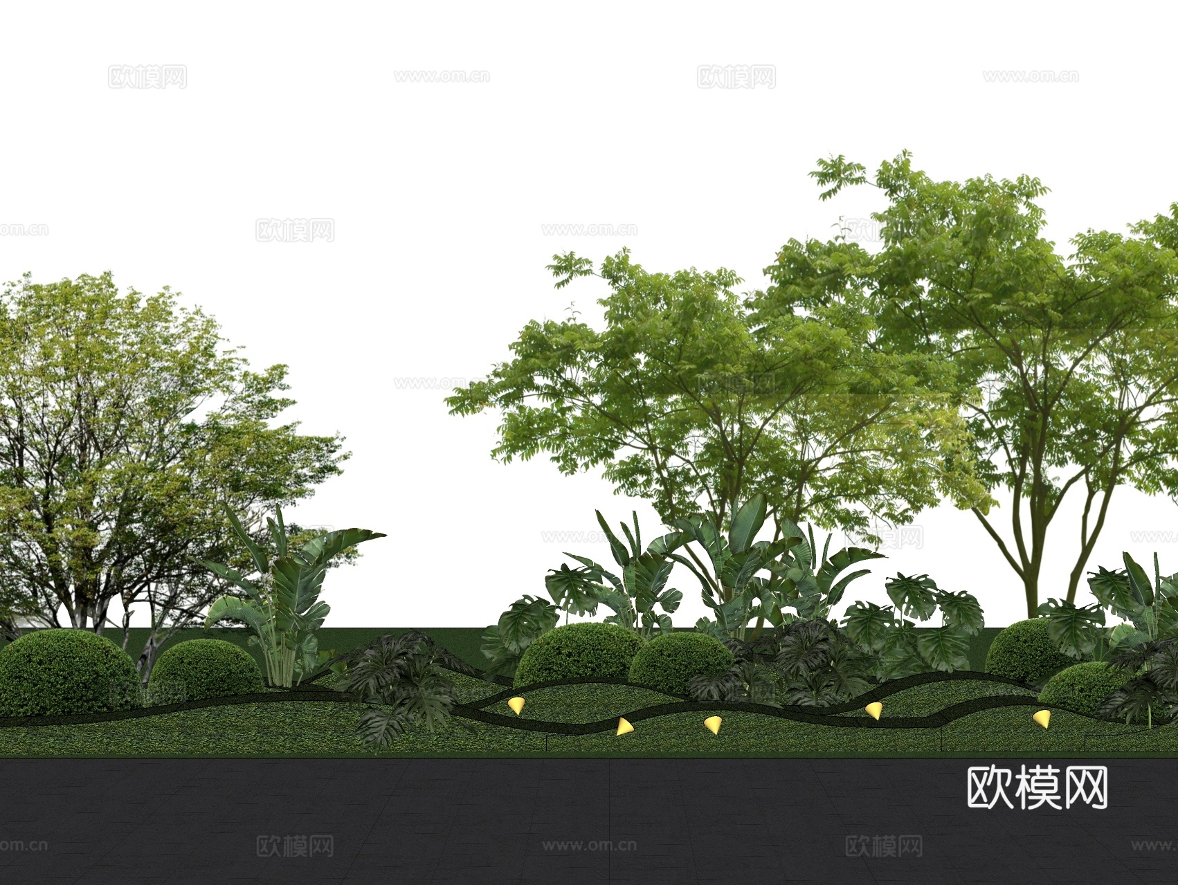 景观树 龟背竹 花灌木su模型下载