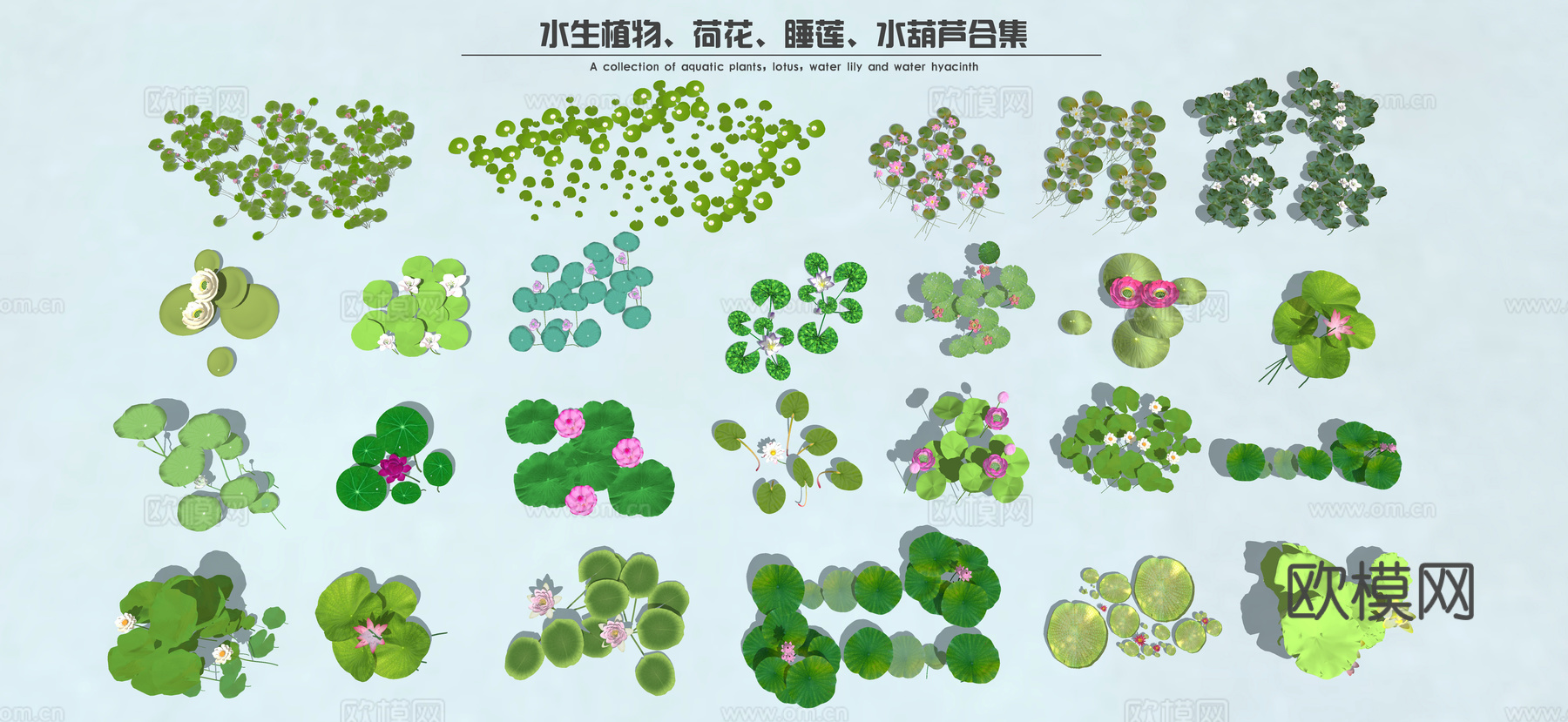 现代水生植物 荷花荷叶 睡莲 水葫芦 湿地公园植物su模型下载