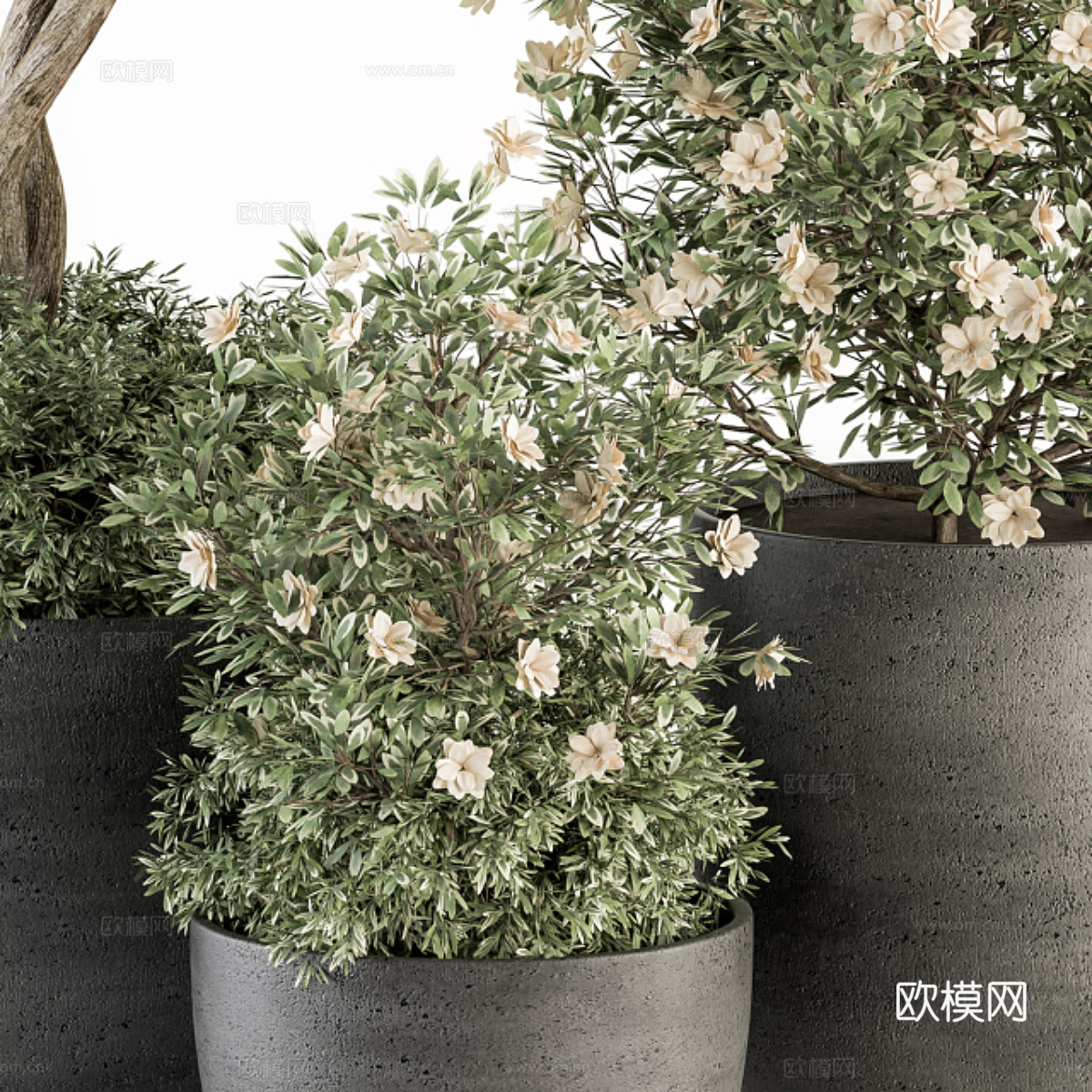 新中式绿植盆栽3d模型