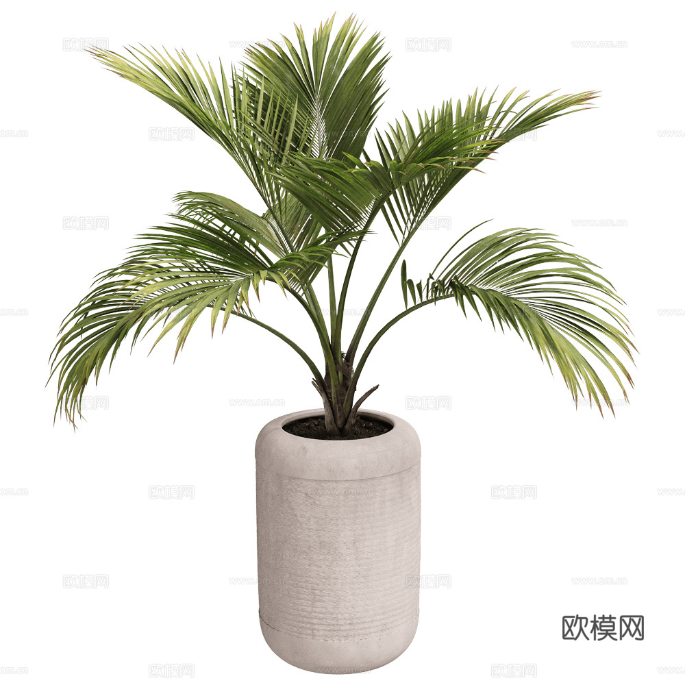 现代侘寂绿植盆栽3d模型