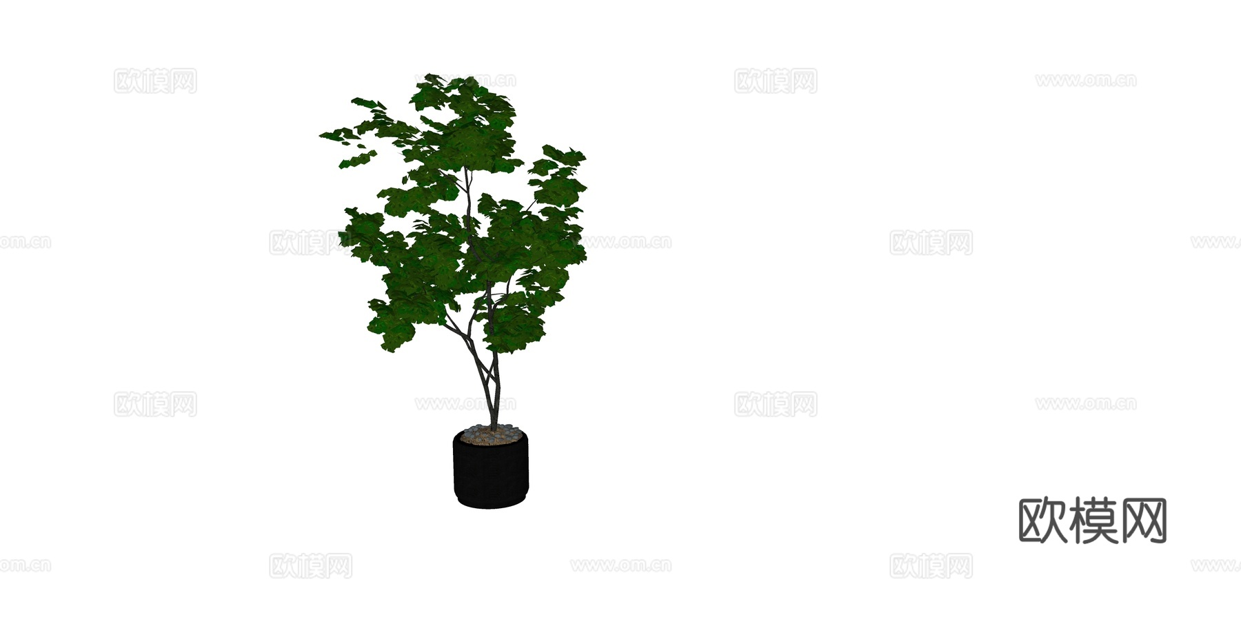 植物 盆栽 盆景 花卉su模型下载