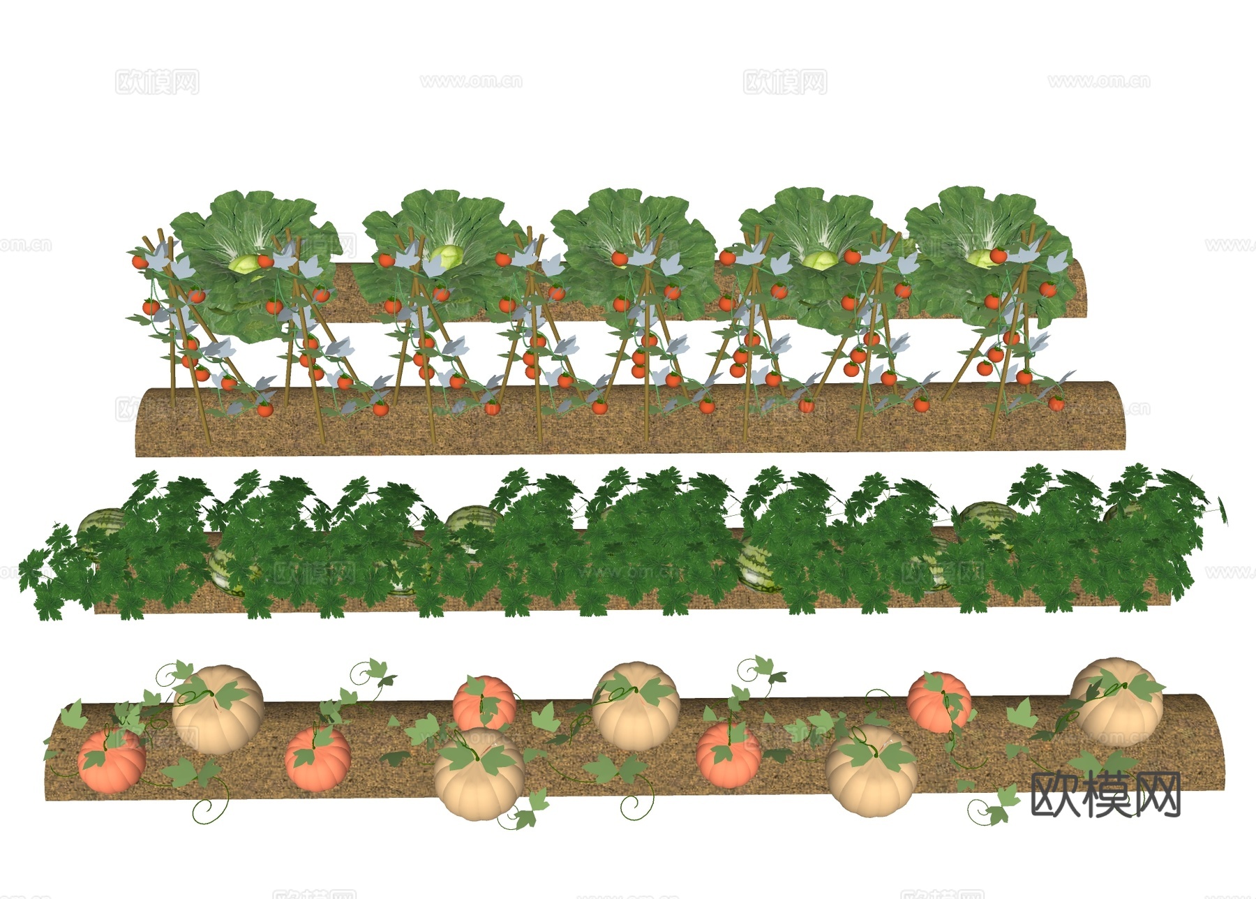菜地菜园 果蔬种植su模型下载