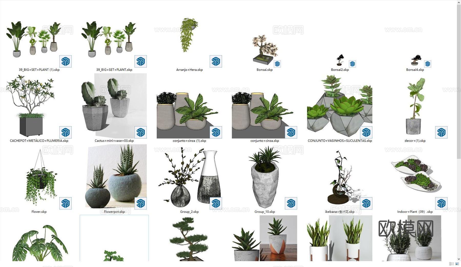 盆栽 盆景 绿植su模型下载
