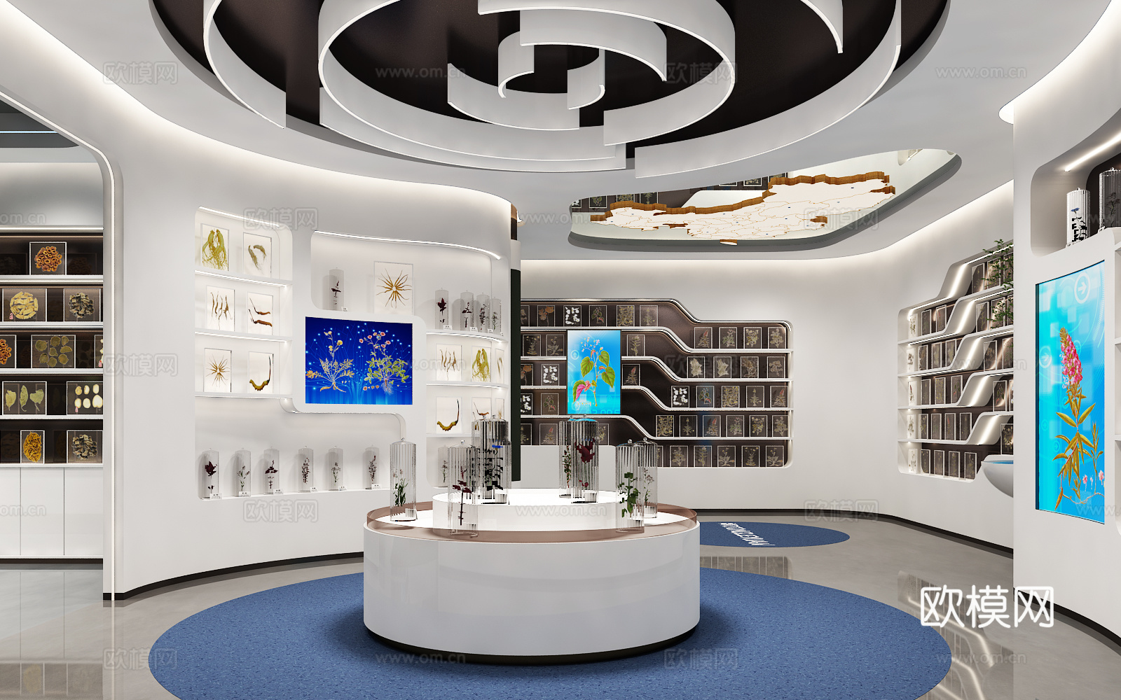 展厅 植物展厅 标本展厅 植物标本展厅 植物3d模型