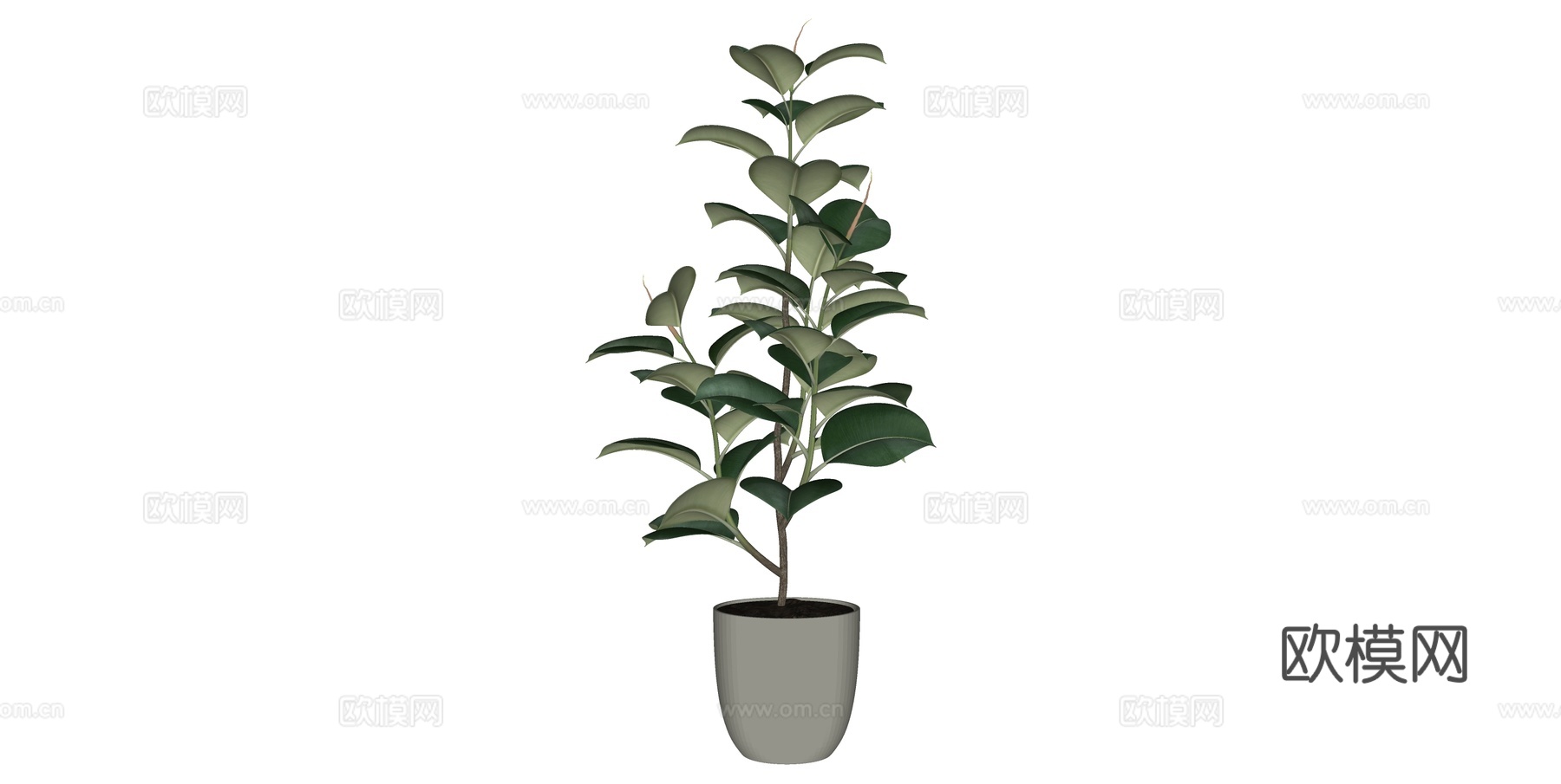 植物 盆栽 盆景 花卉su模型下载