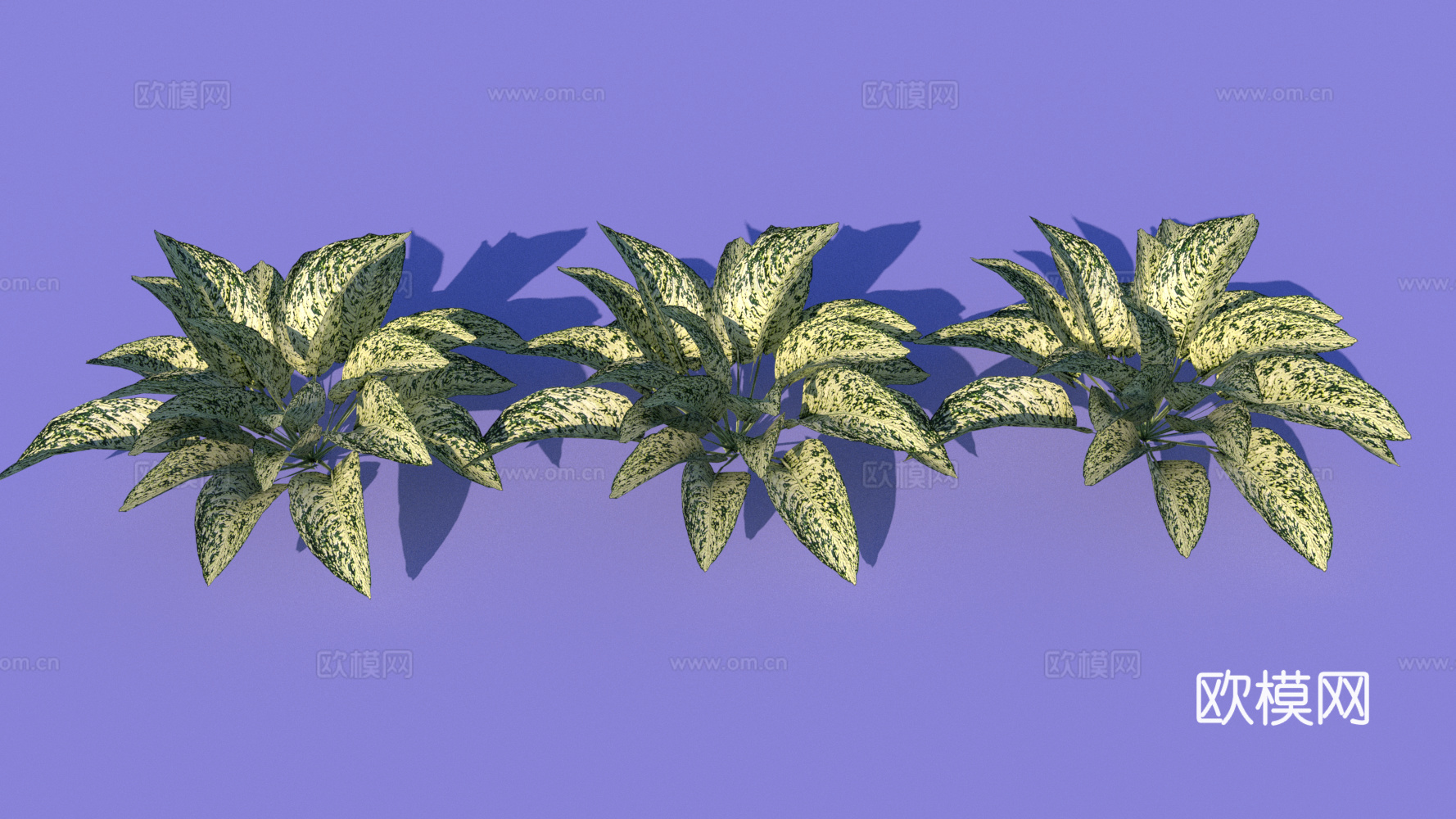 现代花草绿植su下载模型