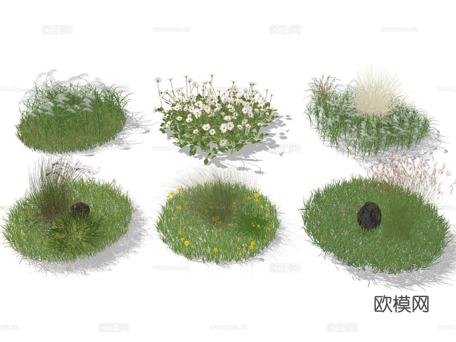 草坪 草皮 花草 地被 花卉 景观植物 鼠尾草 狼尾草su模型下载